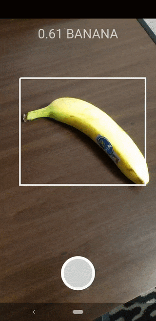 Object detection animated demo