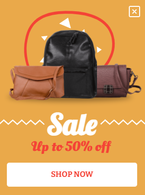 Free Modern bags sale promotion popup