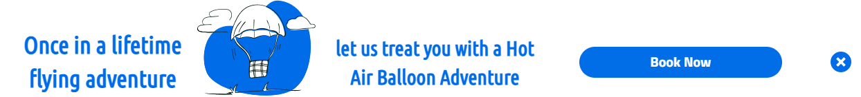 Free Air Balloon Promotion popup