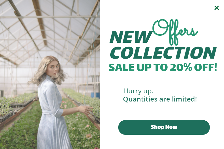 Free New collection Sale promotion popup