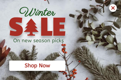 Free Winter Sale