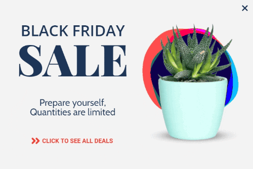 Free Black Friday Sale Plant Animation