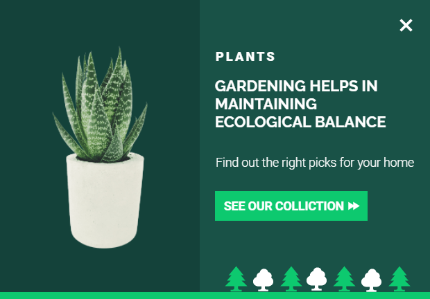 Free Creative Greenify Collections for promoting sales and deals on your website