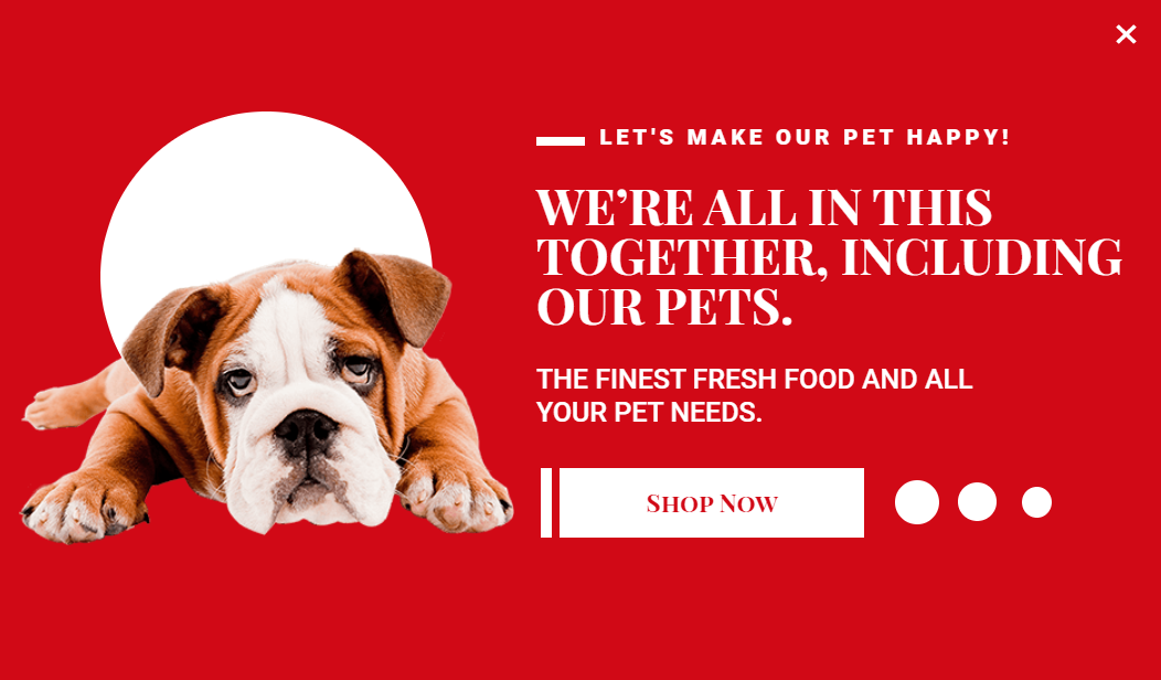 Free Pet Food & Supplements promotion popup