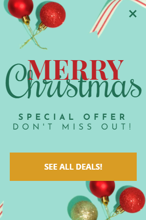 Free Christmas Special Sale
