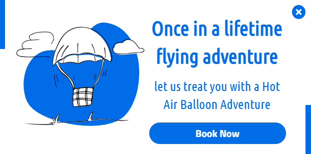 Free Air Balloon Promotion popup