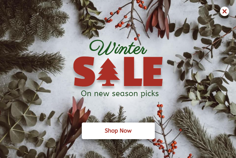 Free Winter Sale