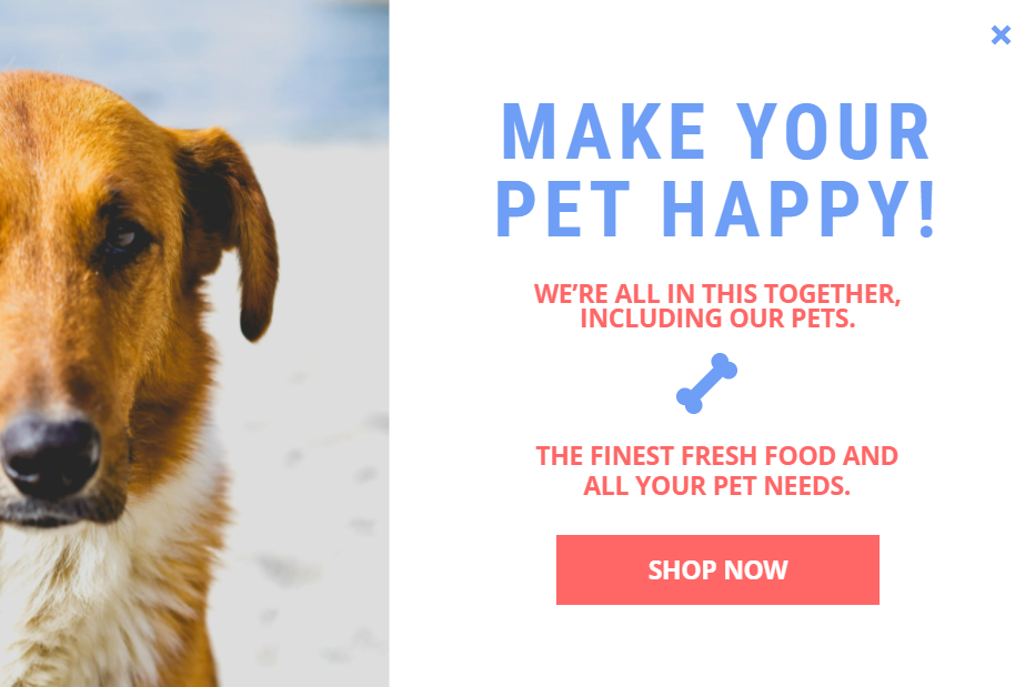 Creative Pet Food & Supplements for promoting sales and deals on your website