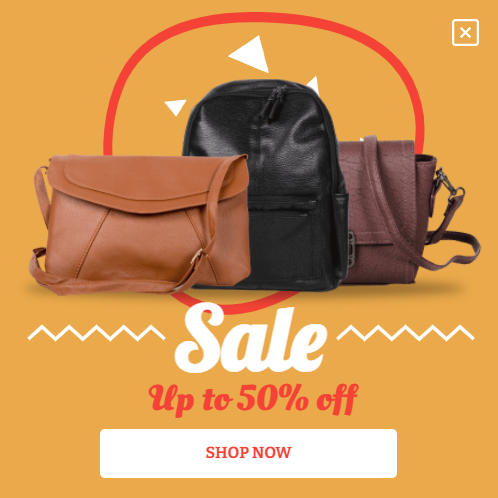 Free modern bags sale promotion popup