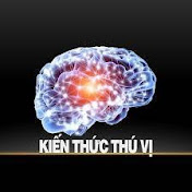 KIẾN THỨC THÚ VỊ