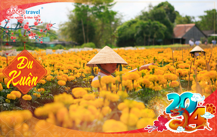 Du lịch festival: Làng hoa Sa Đéc - Chợ quê Tân Thuận Đông