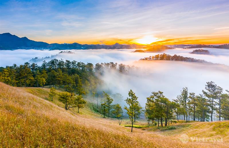 Đà Lạt - Thác Bobla - KDL Cao Nguyên Hoa - Trang Trại rau và hoa Vạn Thành - Kích cầu du lịch