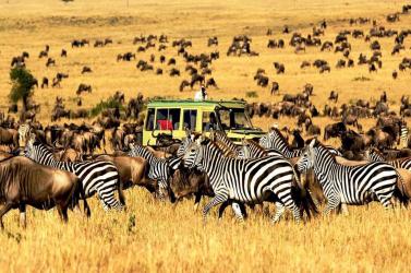 MÙA THÚ DI CƯ: TANZANIA - KENYA - ZIMBABWE - ZAMBIA - BOSTWANA