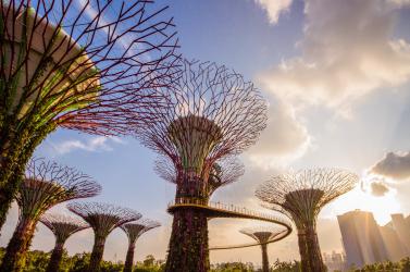 SINGAPORE: MỘT NGÀY TỰ DO