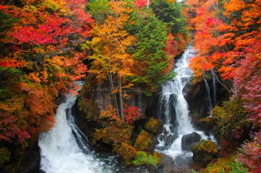 NHẬT BẢN: UTSUNOMIYA - NIKKO - NÚI PHÚ SĨ - TOKYO