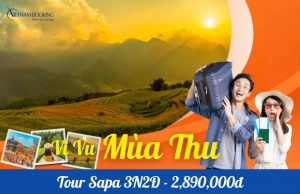 Tour Sapa 3 ngày 2 đêm: Hành trình khám phá Đỉnh Fansipan và thăm Bản Cát Cát