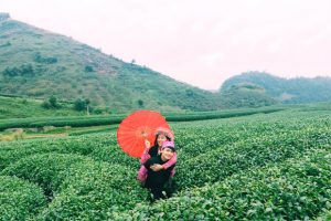 Tour Du Lịch Tây Bắc 2 Ngày 1 Đêm | Hà Nội – Mai Châu – Mộc Châu – Happy Land