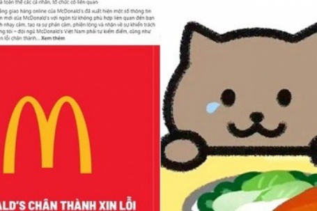 McDonald’s Việt Nam xin lỗi vì lấy câu chuyện của Mèo Béo PR sản phẩm