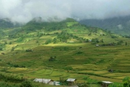 'Mùa vàng' Mù Cang Chải, Hoàng Su Phì không bị ảnh hưởng bởi bão lũ