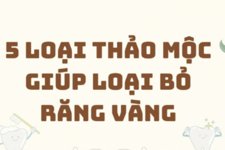 5 loại thảo mộc giúp loại bỏ tình trạng răng vàng