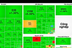 VN-Index bừng tỉnh tăng gần 20 điểm