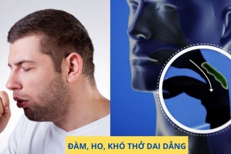 5 mẹo nhỏ giảm đàm, ho, khó thở dễ thực hiện ngay tại nhà