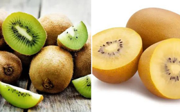 Kiwi vàng và kiwi xanh loại nào tốt hơn?