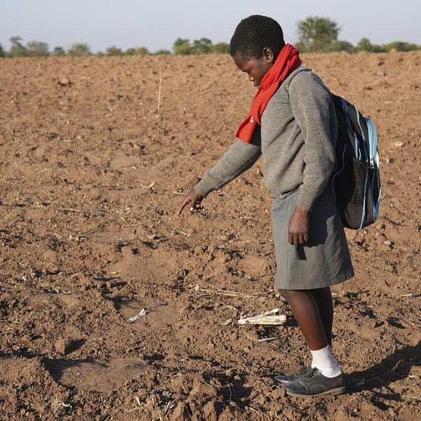 Tăng cường sự an toàn: Ý thức về đời sống hoang dã cho trẻ em ở Zimbabwe