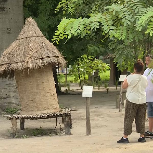 Chuyến tham quan tại Bảo tàng Làng Dar es Salam