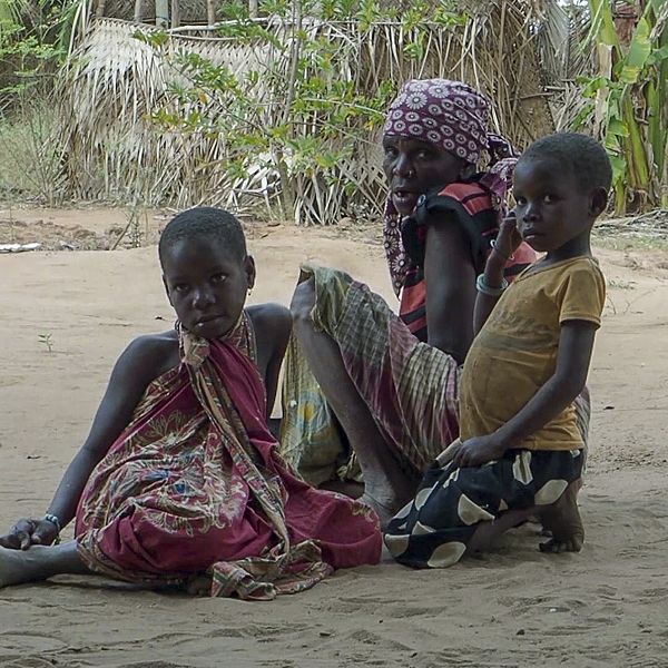 Mozambique: Jihadist attacks displace thousands in northern province of Cabo Delgado