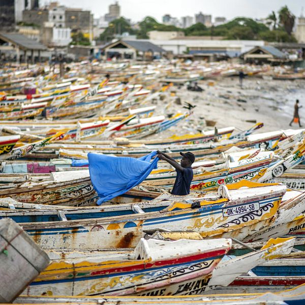 Eid al-Adha mang lại niềm vui nho nhỏ cho ngư dân của Senegal