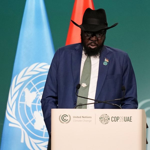 South Sudan blames fighting in neighbouring Sudan and attacks in the Red Sea for its crisis