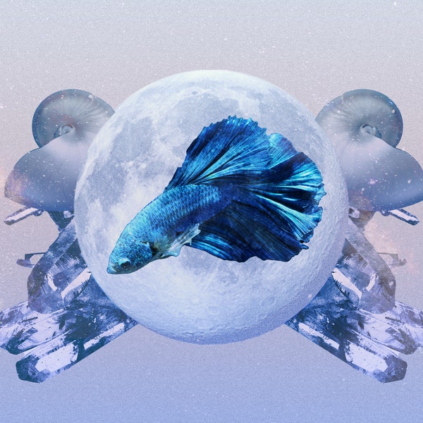 Your Pisces Monthly Horoscope for March 2024 Is Here