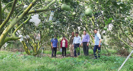 Nông dân Bình Hòa thi đua sản xuất - kinh doanh giỏi