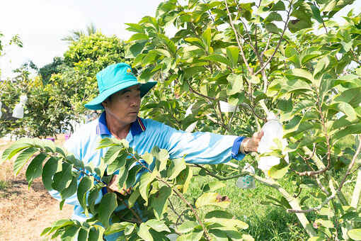 Đẩy mạnh chuyển đổi cây trồng, vật nuôi