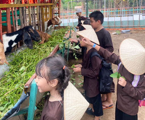 Những ngày hè bổ ích