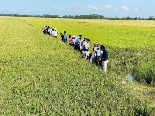 An Giang đẩy mạnh cơ giới hóa nông nghiệp