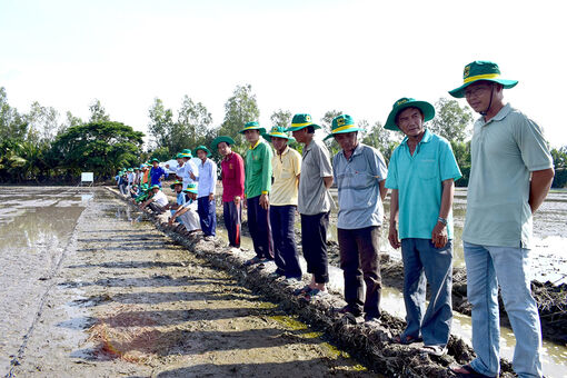 Tạo thuận lợi cho doanh nghiệp liên kết sản xuất