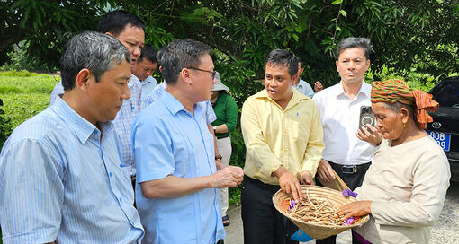 Ban Kinh tế Trung ương khảo sát nông thôn An Giang