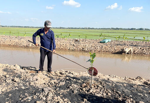 An Giang đẩy mạnh cơ cấu lại ngành nông nghiệp