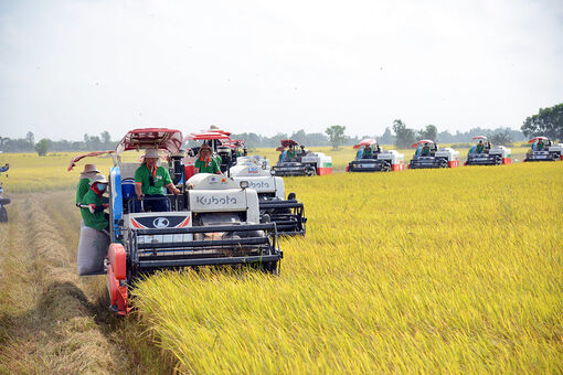 Tái cơ cấu để khai thác thế mạnh nông nghiệp