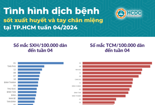 Tình hình dịch bệnh tại TP HCM ngày giáp Tết