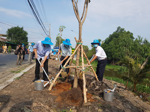 An Giang đặt mục tiêu trồng thêm hơn 5,2 triệu cây xanh