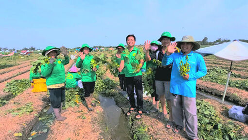 Thắng đậm vụ đậu nành rau