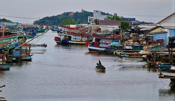 Đề nghị sớm điều tra, xử lý nghiêm tình trạng tranh chấp ngư trường ở vùng biển Cà Mau