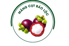 Măng cụt Bảo Lộc được cấp nhãn hiệu độc quyền