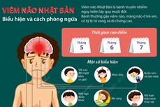 Đắk Lắk ghi nhận trường hợp mắc bệnh Viêm não Nhật Bản