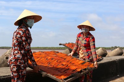 “Thủ phủ” nghề làm hải sản khô Gành Hào vào mùa Tết