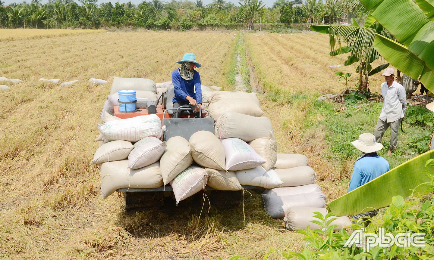 Tiền Giang: Trợ lực cho hợp tác xã nông nghiệp phát triển