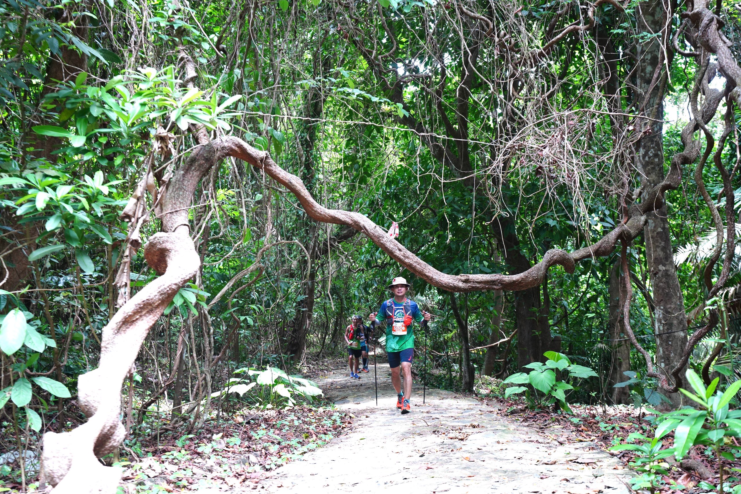 800 runner tham gia giải chạy bộ Côn Đảo Run Challenge